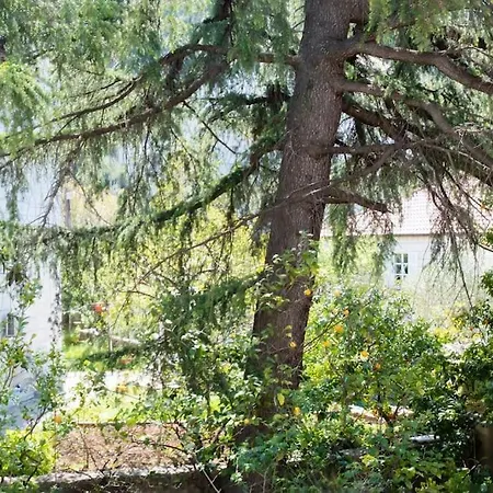 Lapad Cove * 杜布罗夫尼克