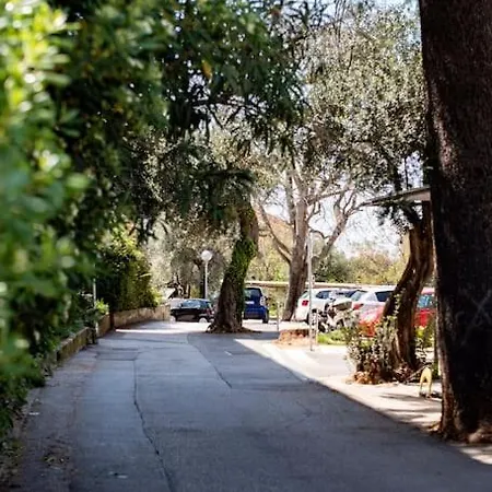 Lapad Cove ドゥブロブニク