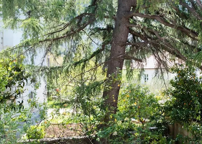 Lapad Cove * Дубровник